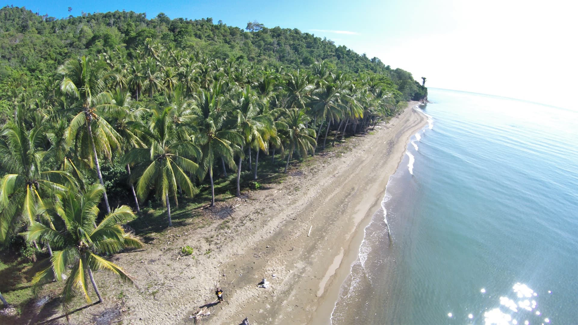 Conserving Indonesia’s biodiversity requires strong collaboration among the government, private sector, and community groups